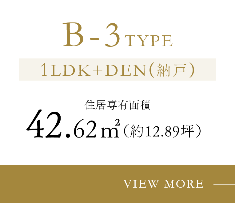 B-3TYPE