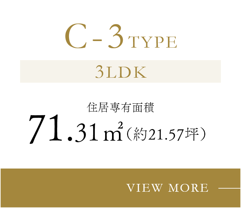 C-3TYPE